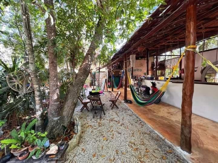 Mulut Maison d'hôtes Tulum